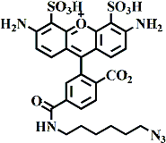 6-AF488 C6 N3